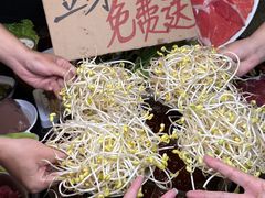 -邓莽子老火锅(鲁祖庙店)