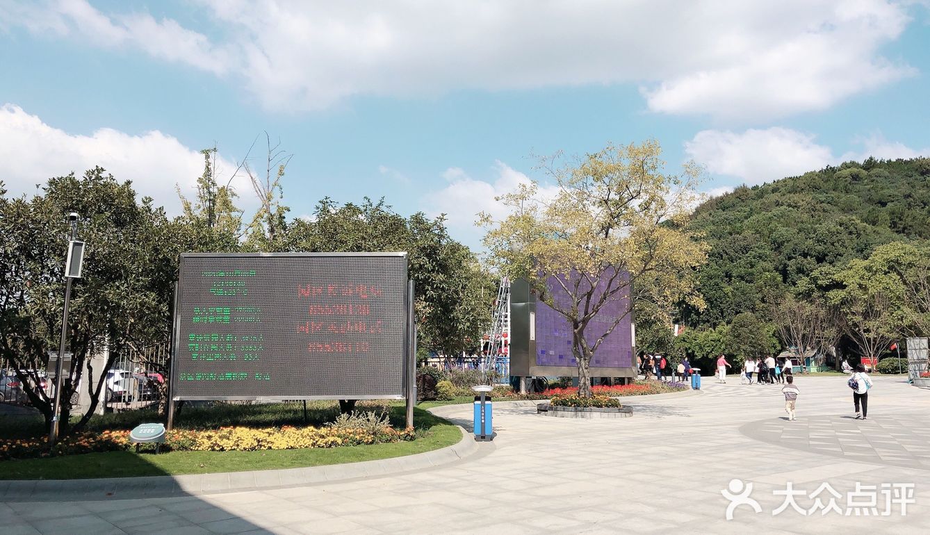 欢乐游玩动物园