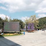 欢乐游玩动物园