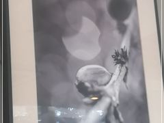 -星巴克臻选(连云港苏宁广场店)
