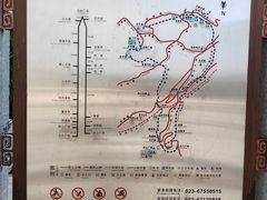 -铁山坪森林公园