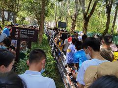 -韶山毛泽东同志故居