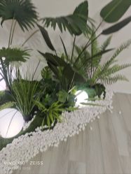 -HEYAN荷妍专业脱毛连锁机构