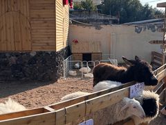 -HERRE·FARM 赫尔露营农场·团建聚会包场