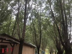 -西部长青自然儿童乐园