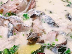 -鲜潭蒸汽石锅鱼(五道口购物中心店)