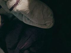 -米兰马尔彭萨国际机场