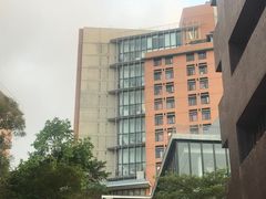 -香港大学