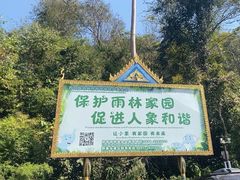 -野象谷景区