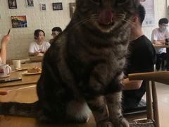 -平行世界·猫咖(首经贸店)