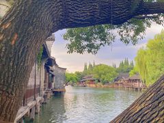 -乌镇西栅景区