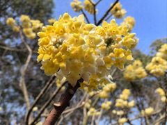 -院士公园