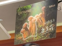 -锅飘飘·东北铁锅炖(雨花客厅店)