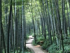 -南山风景名胜区