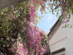 -深圳国际园林花卉博览园