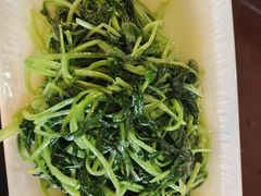 -南山竹海·珍味堂