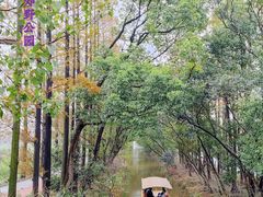 -上海长兴岛郊野公园