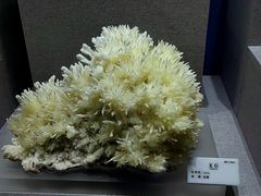 -贵州省地质博物馆