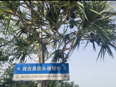 -鹿回头风景区