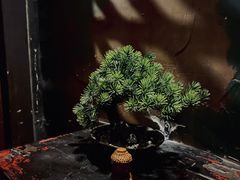 -Mr.Fox狐狸先生超级密室(南山店)