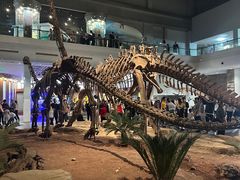 -自贡恐龙博物馆