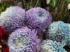 -谷莠子花艺气球派对·绿植造景·花艺沙龙(东海缤纷天地店)