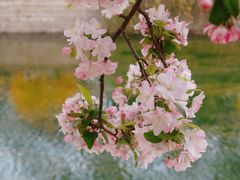 -海棠花溪(元大都城垣遗址公园)