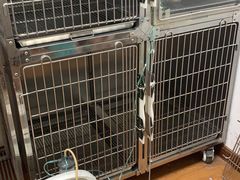 -北京观赏动物医院·24小时大型综合·猫专科·异宠专科