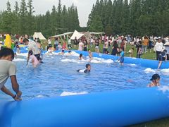 -黄海国家森林公园