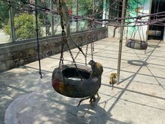 -苏州太湖西山岛开心农场