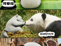 -保利国际影城(北京缤纷城店)