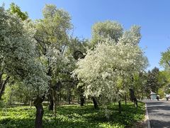 -长春市南湖公园