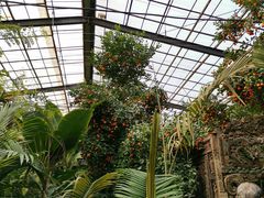 -呀路古热带植物园