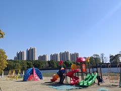 -菊园百果园