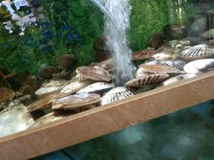 -良师门滨海人家·海鲜·家常菜(滨海城店)