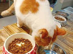 -小时光咖啡馆(开森度假森林店)