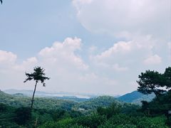 -野蔓果·山野菜(西湖景区·龙井茶田店)