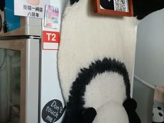-熊猫一间店欧式奶茶铺