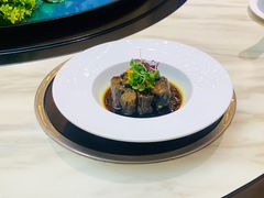 -丁老爷子苏香圆