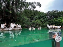 -珠海长隆海洋王国