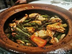 嗜嗜鱿鱼-煲煲好(朝阳门店)