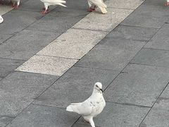 -江燕路万科里