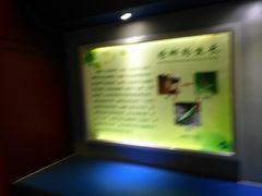 -上海昆虫博物馆