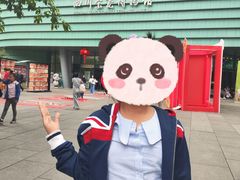 -四川宋瓷博物馆