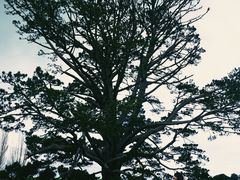 -霍比特人村