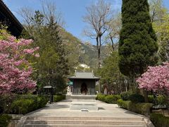 -崂山风景区-大河东游客中心