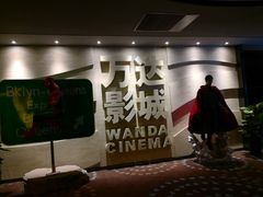 -万达影城(汉街万达广场IMAX店)