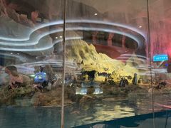 -帝企鹅自助餐厅•儿童岛•真企鹅(长隆企鹅酒店)