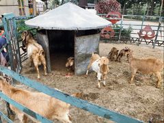 -海拉尔蒙古包(房山长阳总店)