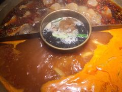 -九鼎轩脆毛肚火锅(商业街店)